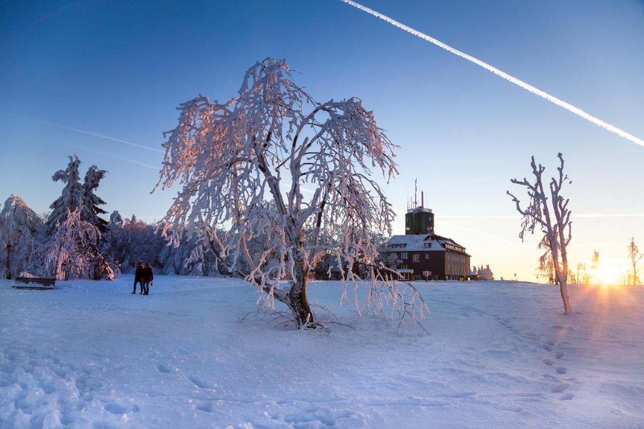 The Suite Winterberg Deluxe - Exklusive Ausstattung, Bestlage Zwischen Skikarussell Und Marktplatz, Eigener Garten, Ski- Und Fahrradraum, Ruhige Suedausrichtung, Wlan, Hundefreundlich Экстерьер фото