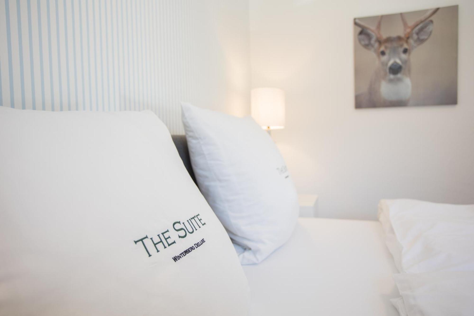The Suite Winterberg Deluxe - Exklusive Ausstattung, Bestlage Zwischen Skikarussell Und Marktplatz, Eigener Garten, Ski- Und Fahrradraum, Ruhige Suedausrichtung, Wlan, Hundefreundlich Экстерьер фото